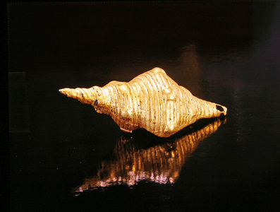 Muisca shell (gold)
