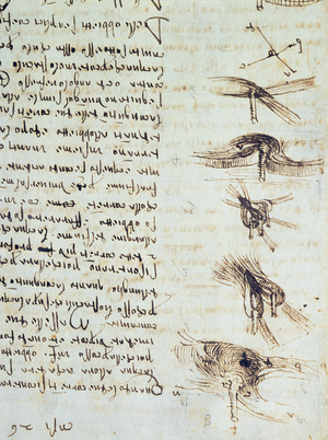 Scientific diagrams, from the 'Codex Leicester', 1508-12 (sepia ink on linen paper) (detail of 227790)