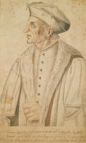 Thomas Linacre (sanguine on paper)