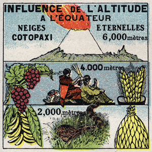 Meteorology: influence of altitude on climate. 1925 (print)