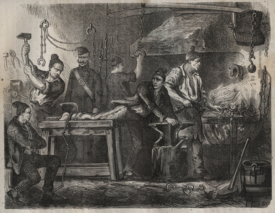 The transfer to the Toulon Bagne in the 19th century“Histoire des bagnes depuis leur création à nos jours" by Pierre Zaccone.