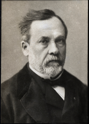 Portrait of Louis Pasteur (1822-1895), French chemist and microbiologist. 