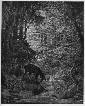 Le cerf se Véant Dans L'eau - The deer which show itself in the water - from 'Fables' by Jean de La Fontaine (Lafontaine) (1621-95) - engraving after Gustave Dore (1832-83) - Private collection
