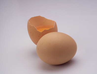 Farm products and organic food: Yolk and egg shells.