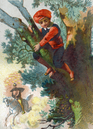 Illustration for the Tales of the Thousand and One Nights. Ali-Baba (Ali Baba) seeing a troop of thieves coming from afar into the forest hides in a tree. Chromolithography around 1890.