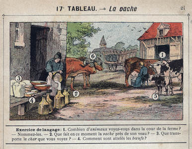 The cow, 1900 (engraving)