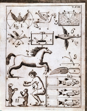From Motu Animalium of 1743 by Giovanni Alfonso Borelli, Italian physiologist and physicist