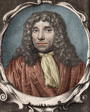 Anthony Van Leeuwenhoek or Anton van Leeuwenhoek, or Leeuvenhoek, or Leeuwenhoeck.Dutch naturalist. 18th century engraving