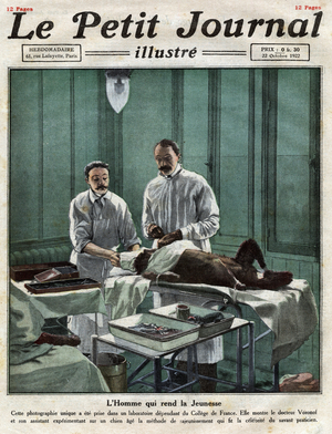 The man who makes youth: Dr. Serge Abrahamovich Voronoff (1866-1951), a French surgeon of Russian origin, and his assistant experiment on a dog the method of rejuvenation that made the celebrity of the scholar practitioner in a laboratory of the College of France. Engraving in “” Le petit Journal Illustré””, on 10/22/1922.