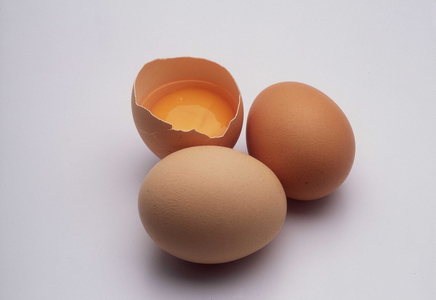 Farm products and organic food: Yolk and egg shells.