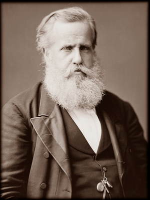 Portrait of Dom Pedro II (Peter II) (Peter II) (Dom Pedro de Alcantara) (1825-1891), Emperor of Brazil