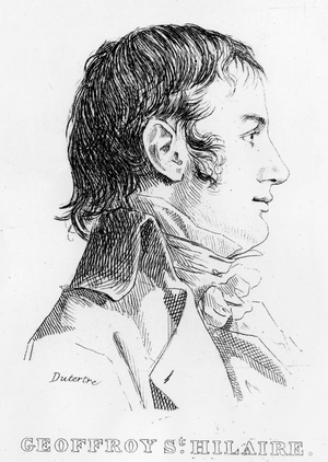 Portrait of Etienne Geoffroy Saint Hilaire, French naturalist (engraving)