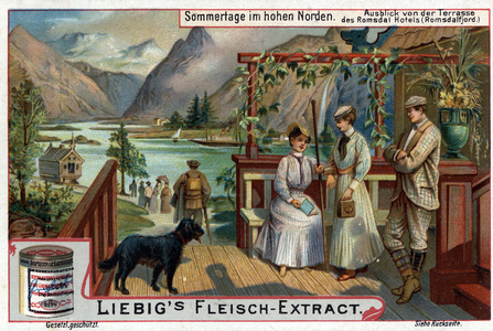 Summer in the Far North: view from the terrace of Hotel Romsdal (Fjord located in the Count of More og Romsdal in Norway) early 20thc entury (chromo)