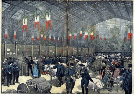 The general agricultural competition of Paris - March 14, 1898 (engraving)