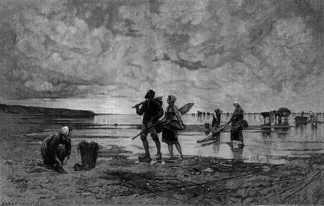Great tide in the Channel : fishermen of shells on a beach, 1880 (engraving)