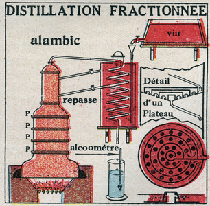 Changes in states: vapours. Fractional distillation of wine. 1925 (print)