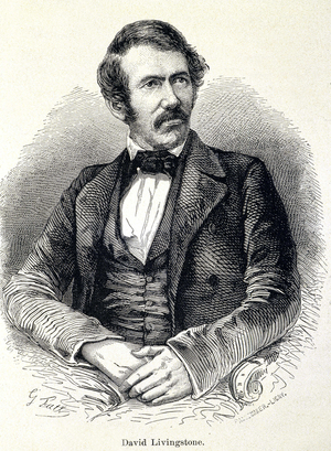 Portrait of David Livingstone, Scottish missionary (1813-1873), 19th century.
