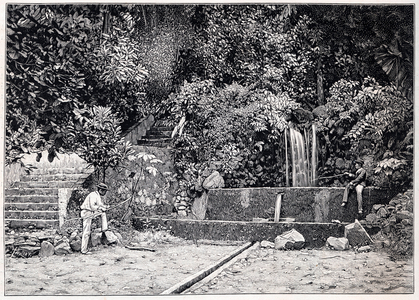 Jardin des plantes de Saint-Pierre - La Fontaine, 1902 (engraving)