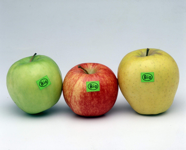 Organic apple still life. (organic apples)