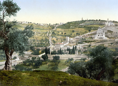Mount of Olives and Gethsemani, Jerusalem. Photochrome between 1890-1900.