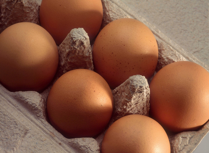 Farm products and organic food: Box of eggs.