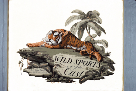 Wild Sports Of The East Engraving by Samuel Howett (1756-1822) in “” Oriental field sports”” by Thomas Williamson (on hunts in the British Indies in the 19th century) in 1807