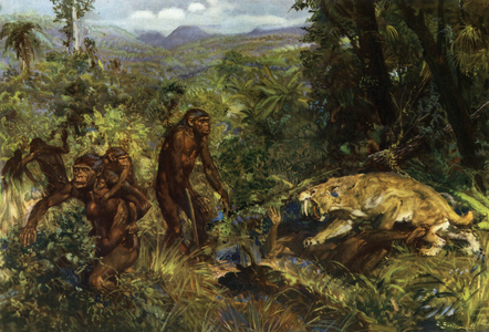 Java Man (Homo erectus erectus) - Pithecanthrope in the island of Java - in “” Prehistoric Men”” (drawing)