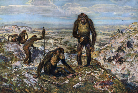Australopithecides, South Africa  in “” Prehistoric Men”” (drawing)
