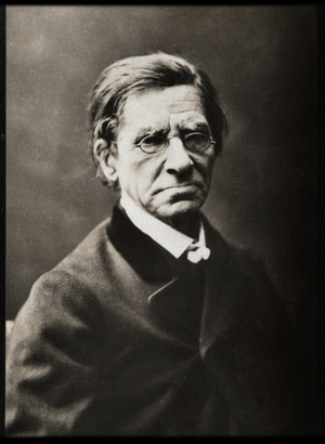 Portrait of Emile Littre (1801-1881), French lexicographer and philosopher.
