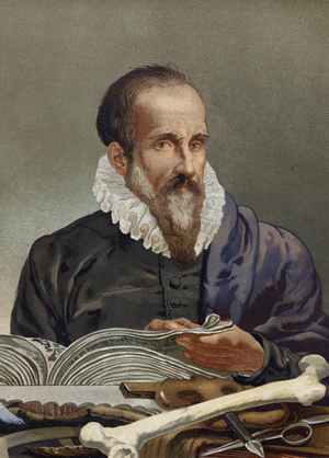 Portrait of Ambroise Paré (1509-1590), French surgeon. from “La Ciencia y sus Hombres” by Louis Figuier. Barcelona 1881