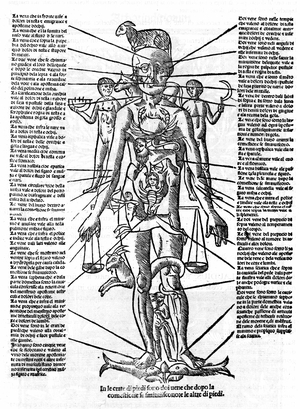 Plate representing a human body with the position of all organs and the zodiacal signs corresponding to them by their astrological influences, 1587 (engraving)