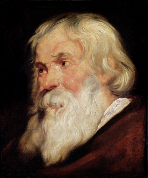 Head of an Old Man (oil on panel)