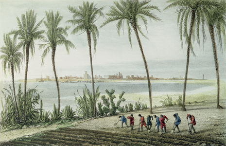General View of Cadiz, engraved by John Pye (1782-1874) (coloured engraving)