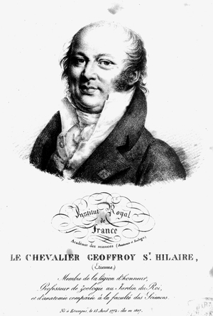 Portrait of Etienne Geoffroy Saint-Hilaire, 19th century (engraving)