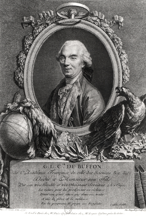 Georges-Louis Leclerc (1707-88) Comte de Buffon, engraved by Vincenzio Vangelisti (1738-98) 1777 (engraving)