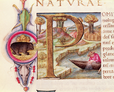 Historiated initial 'P' depicting a fisherman, from the 'Naturalis Historia' by Pliny the Elder (vellum)