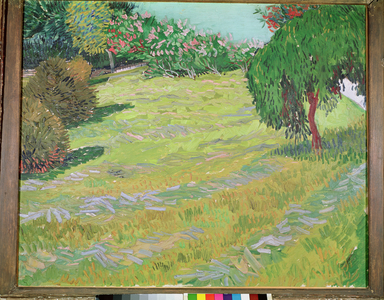Field with Weeping Willow, 1888 (oil on canvas)
