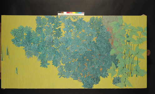 Euphorbia, or Spurge, 1992 (oil on canvas)