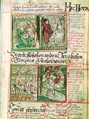 How to cure illnesses, from 'Tractatus de Pestilencia' (vellum)