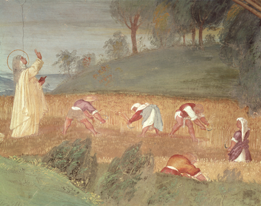 The Miracles of St. Clare of Assisi, detail of St. Clare blessing the harvest, 1523-24 (fresco)