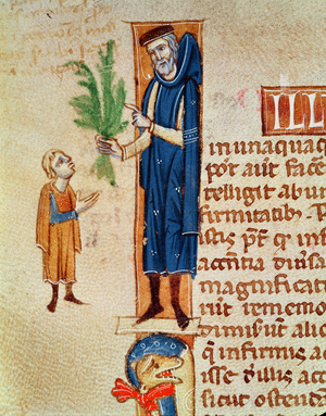 Ms 413 f.92v Medicinal Plants, illustration from 'Traite de Medecine' by Claudius Galenus (c.130-c.201) translated by Gerard de Cremone (1114-87) (vellum)