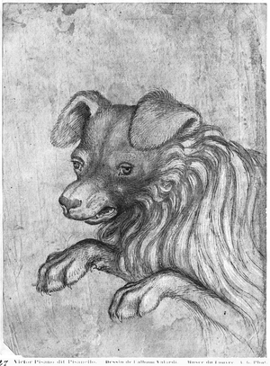 Head of a dog, from the The Vallardi Album (pen & ink on paper)