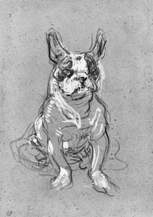 'Bouboule', the bulldog of Madame Palmyre at La Souris, 1897 (oil on cardboard) (b/w photo)