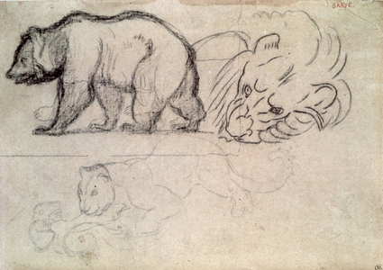 A bear walking, the head of a lion and a leopard attacking an animal (charcoal & pencil on paper)