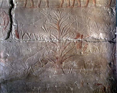 Goats eating a bush, relief from the Mastaba of Akhethotep at Saqqara, Old Kingdom (painted limestone)