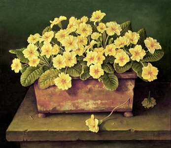 Trough of Primroses, 1992 (oil on canvas)