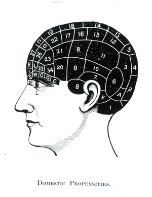 Domestic Propensities (litho)