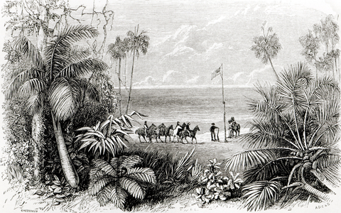 Planting the Flag on the Shores of the Indian Ocean (engraving)