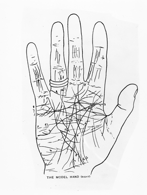 The Model Hand (Right) (engraving)