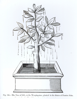 The Tree of Life, or the Weeping Tree, planted in the States of Prester John, illustration from 'Science and Literature in the Middle Ages and the Renaissance', written and engraved by Paul Lacroix, 1878 (engraving)